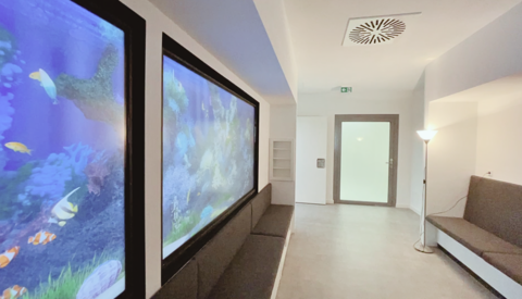 Ein digitales 3D-Aquarium
