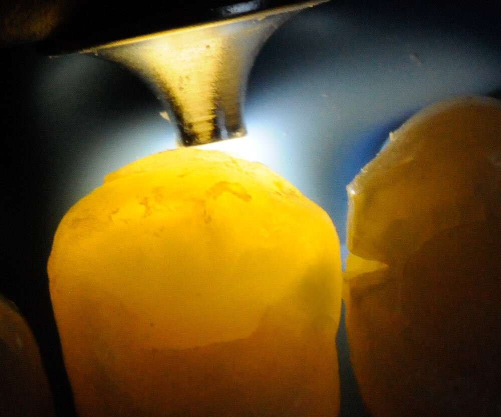 Eine große Hilfe zur Kariesdetektion: der auf 1 mm fokussierte Lichtstrahl der SmartLite Pro bei Verwendung des Transilluminations-Aufsatzes. 