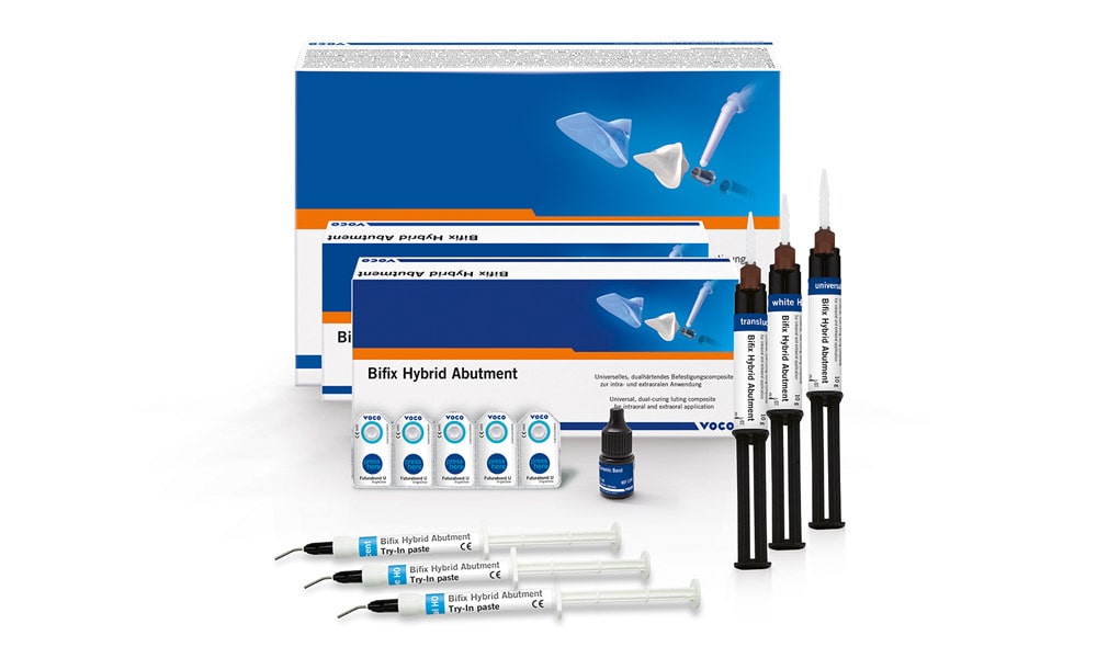 Bifix Hybrid Abutment